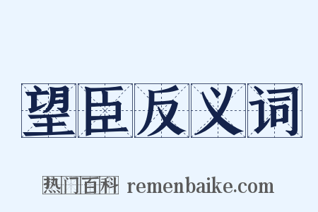 望臣反义词是什么意思的图片